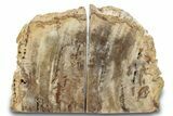 Petrified Wood (Tropical Hardwood) Bookends - Indonesia #266195-1